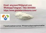 Visoko čistoća Testosteron Fenilpropionat Testosteron Sirovi steroidni prah CAS 1255-49-8 Kina Dobavljači