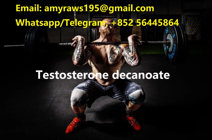 product-713-473 product-713-473