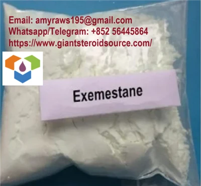 Exemestane (Aromasin) CAS: 107868-30-4