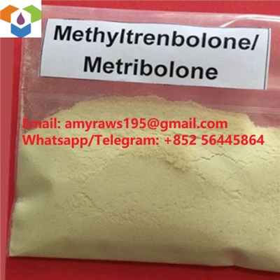 Metribolon u prahu