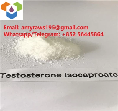 Sirovi prah testosteron izokaproat